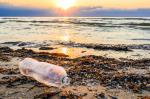 Bouteille en plastique au bord de la mer