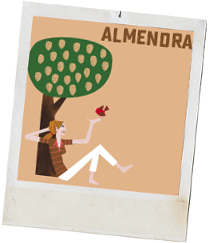 Almendra polaroid