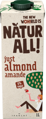 Almond Drink brick