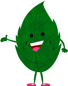 process-hoja-naturall