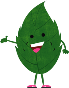 naturall-hoja